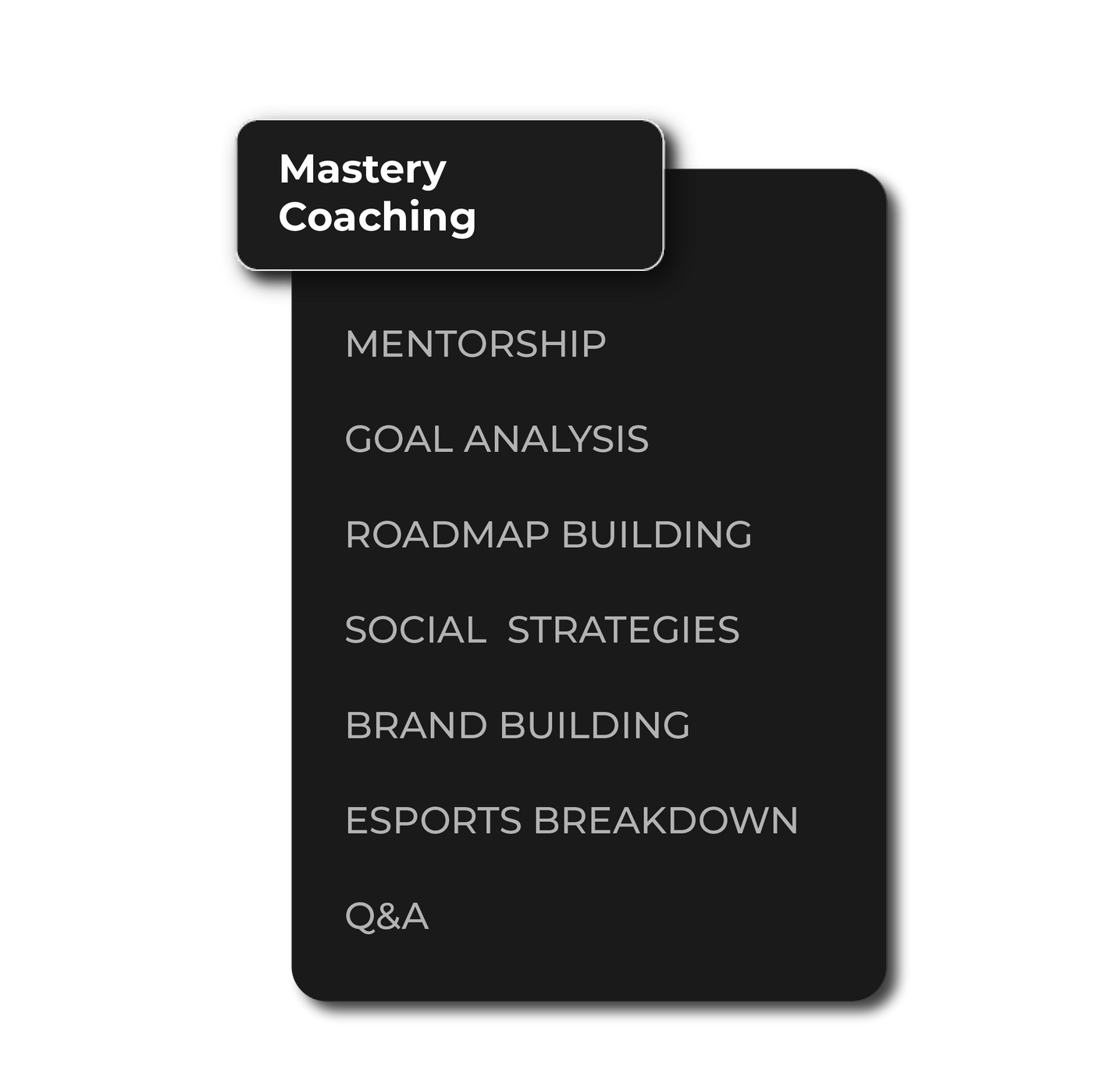 Mastery Coaching